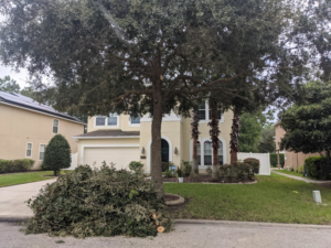 Large pile of tree removal debris and cut logs in a front yard after service by Herrick's Tree Service in Jacksonville, FL.