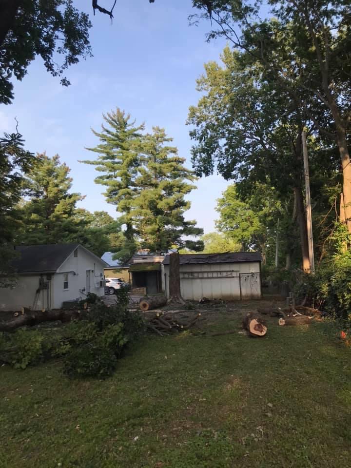 Large tree trunks and branches piled in a backyard after a tree removal service by 91Tree 81Sticks Tree Service in Kansas City, MO.
