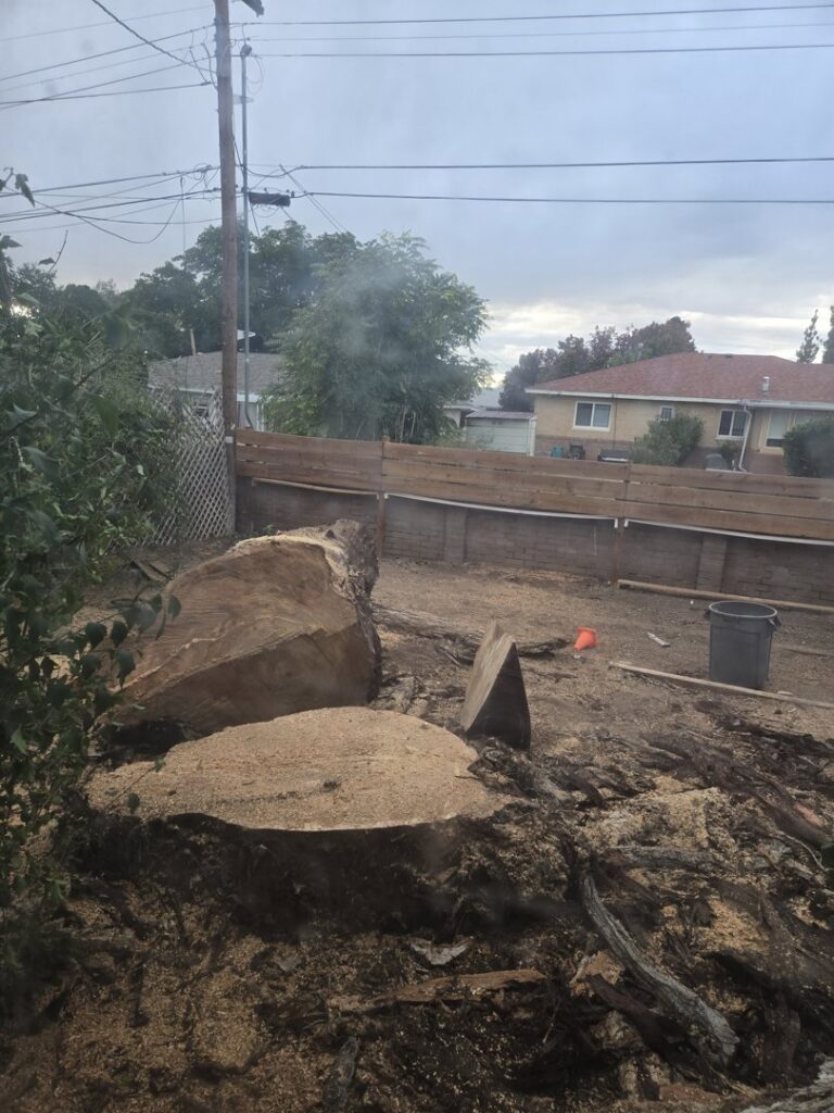 Large tree stump and logs with wood chips, showing the aftermath of a tree removal by Kiki's Tree Service in Albuquerque, NM.