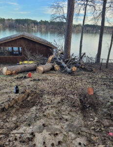 Cut tree logs and branches on the ground near a lake house, showing the aftermath of a tree removal project by D&M Tree and Land Services in Macon, GA.