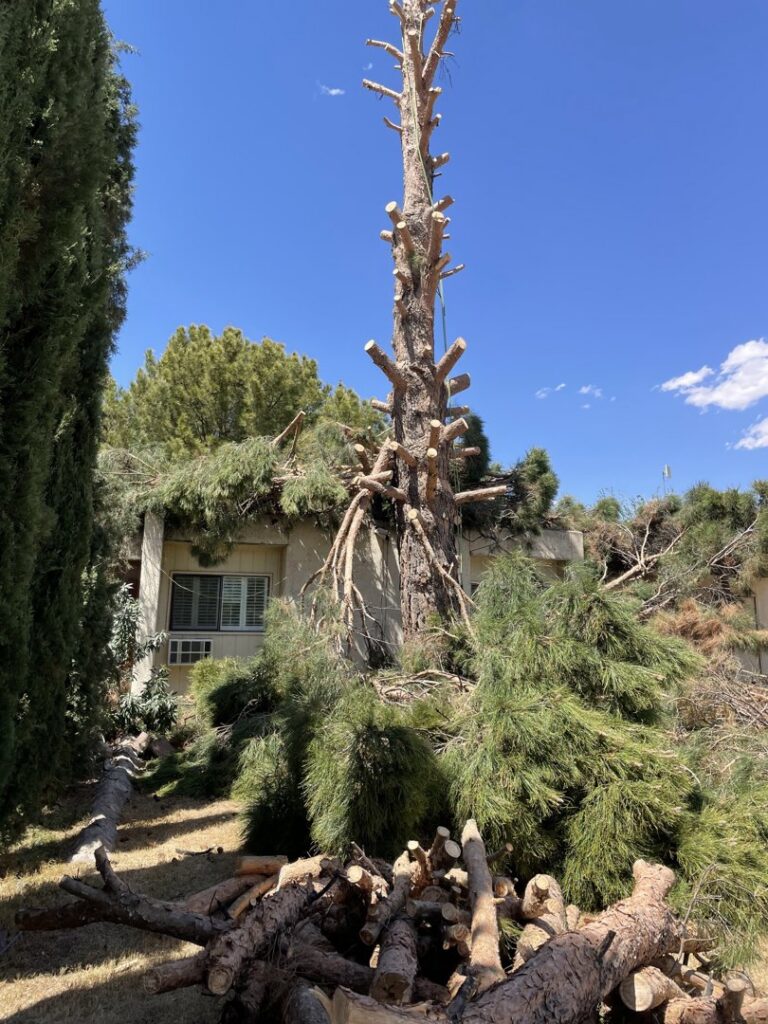Extensive tree removal debris, including a large trunk and branches on a roof, after a service by South West Tree Service in Las Cruces, NM.