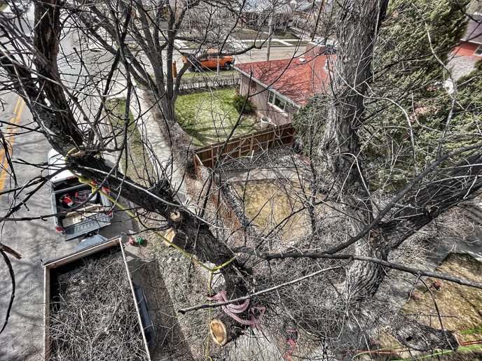 View from above showing tree removal debris in a trailer by Peak Arbor LLC in Casper, WY.