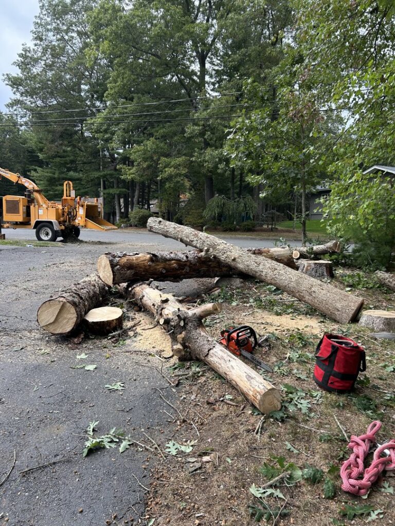 Tree removal debris, including logs and branches, with a wood chipper by JR Mendez Tree Services and Masonry LLC in Lynn, MA.