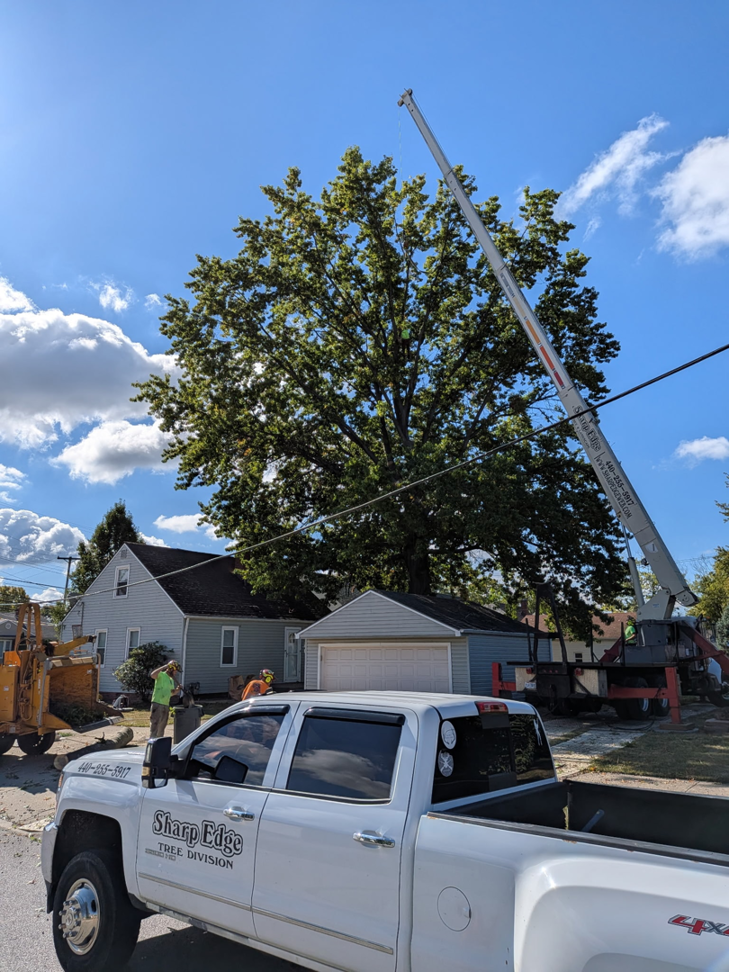 Sharp Edge Tree & Landscape crew with a crane, wood chipper, and truck performing tree removal services in Cleveland, OH.