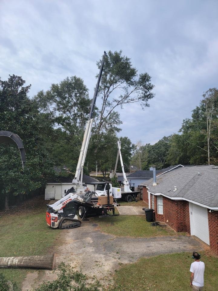Tree removal in progress with multiple pieces of equipment and crew from Timber Tree Service Incorporated in Theodore, AL.