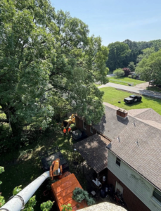 Tree removal equipment and crew working near a house, seen from a bucket truck by E&D Expert Tree service LLC in Newport News, VA.