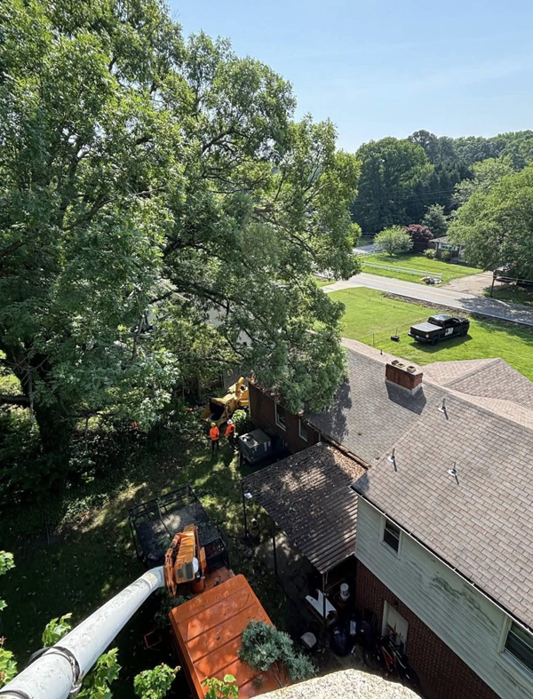 Tree removal equipment and crew working near a house, seen from a bucket truck by E&D Expert Tree service LLC in Newport News, VA.