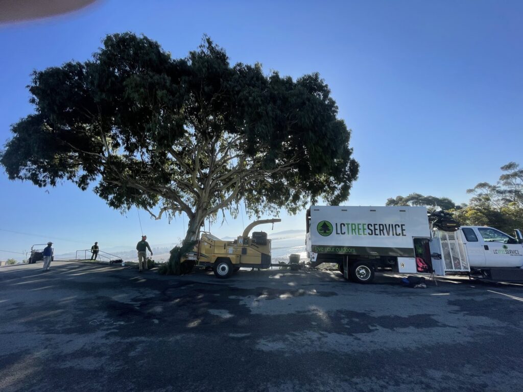 Tree removal equipment, including a chipper and truck, on a job site for LC Tree Service in San Diego, CA.