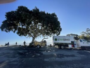 Tree removal equipment, including a chipper and truck, on a job site for LC Tree Service in San Diego, CA.