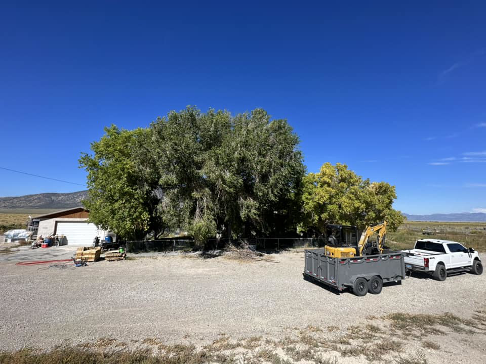 Tree service equipment including an excavator and dump trailer at a job site by Whipple Tree Service in Mesquite, NV.
