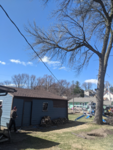 Tree removal equipment and a pile of cut wood and branches in a backyard by S.O.S tree service in Sioux City, IA.