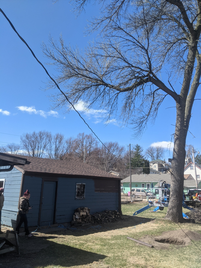 Tree removal equipment and a pile of cut wood and branches in a backyard by S.O.S tree service in Sioux City, IA.