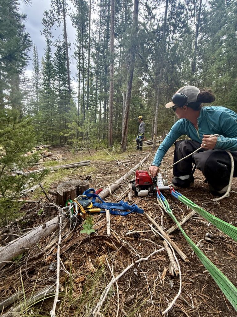 A worker operating equipment for tree removal near a tree stump, part of services by TRA, Teton Rope Access in Alpine, WY.