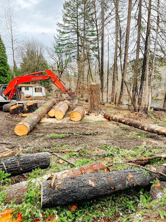 An excavator moving large logs during a tree removal project by Cummings Tree Service in Eugene, OR.