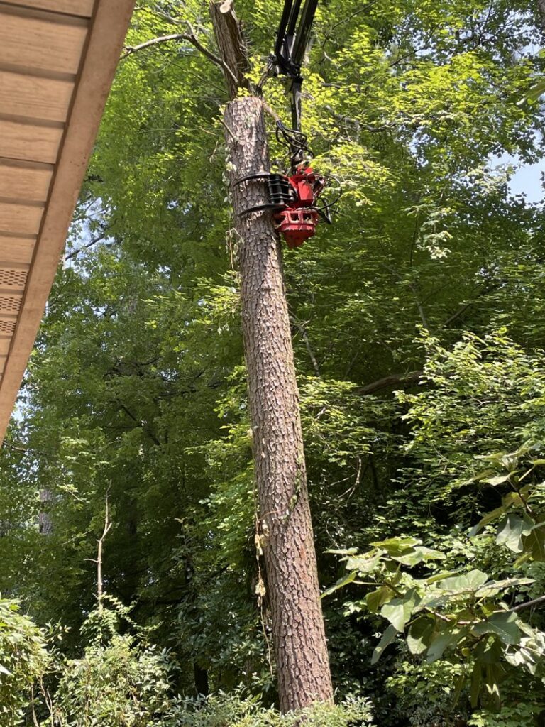 A tree trunk being removed with a red grapple attachment by Treetop's Tree Service in Chesapeake, VA.