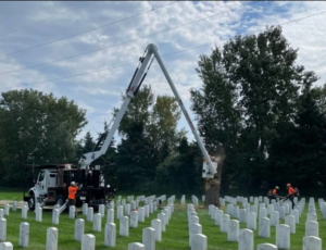 Tree service crew removing a tree section with heavy equipment for Precision Landscape and Tree in Little Canada, MN.