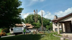 A tree removal job in progress with a bucket truck and wood chipper near a residential home by K.M.C Lawn & Tree service in Peoria, IL.