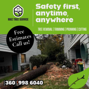 A large tree trunk removed and lying on the ground at a job site by Ruiz tree service in Vancouver, WA.