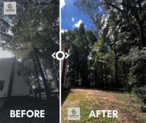 Before and after photos demonstrating extensive tree removal and land clearing by Carmack Tree and Debris in Clarksville, TN.