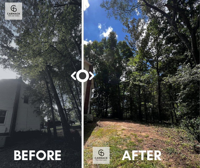 Before and after photos demonstrating extensive tree removal and land clearing by Carmack Tree and Debris in Clarksville, TN.