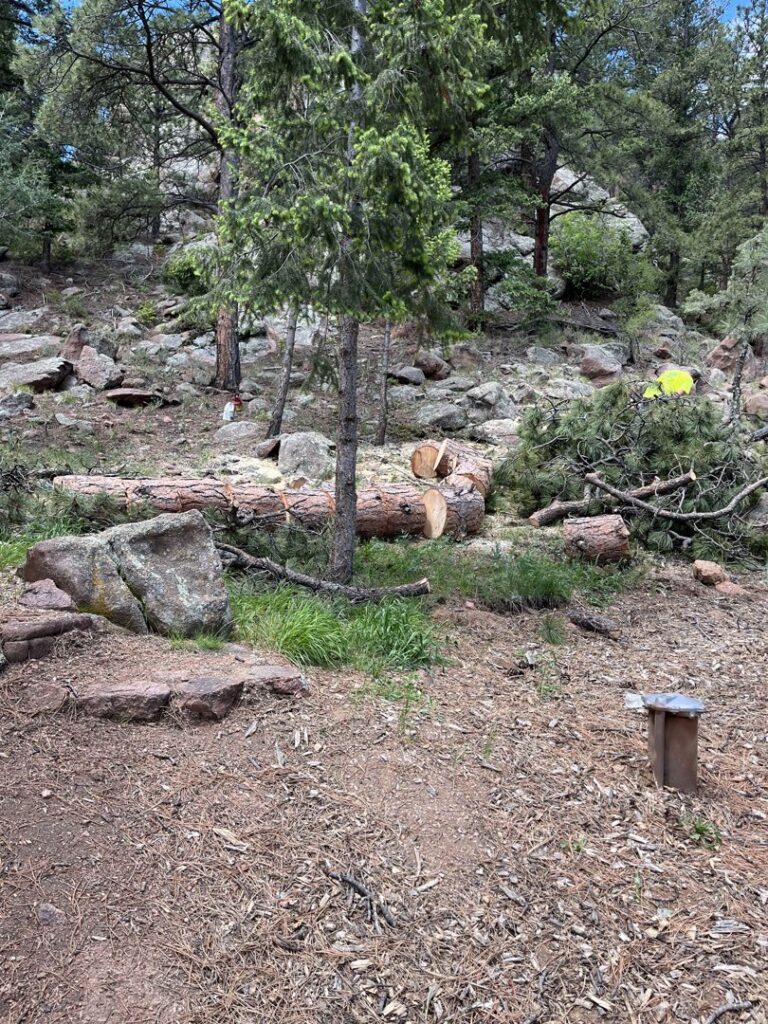 Freshly cut logs and branches on the ground after tree removal by Central Colorado Tree Service in Colorado Springs, CO.