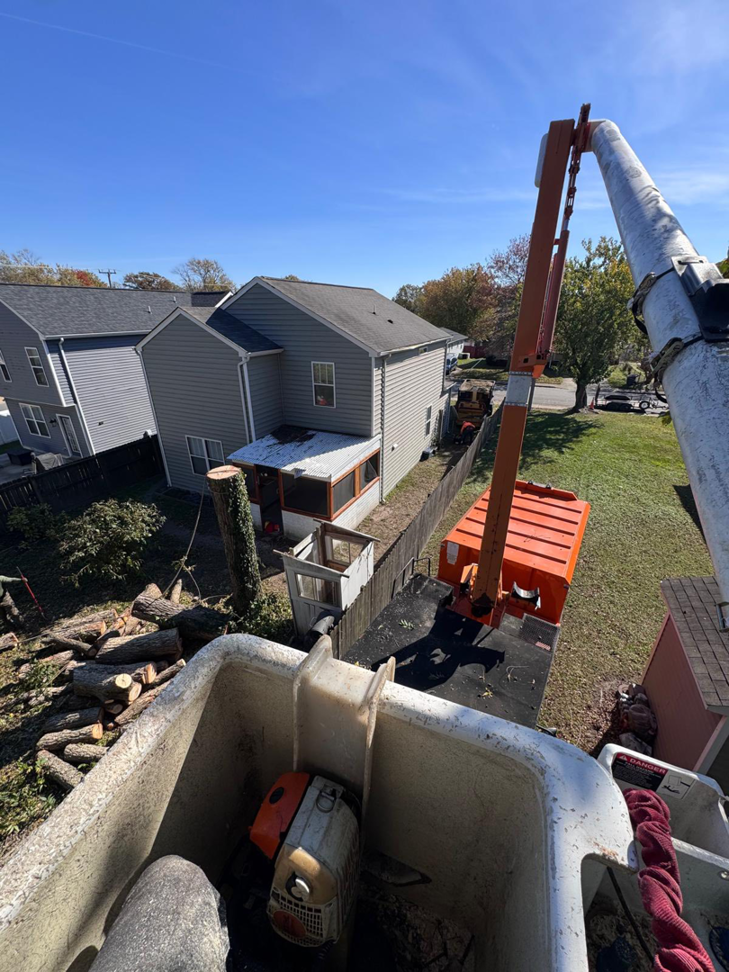 View from a bucket truck showing cut tree logs and ongoing tree removal by E&D Expert Tree service LLC in Newport News, VA.