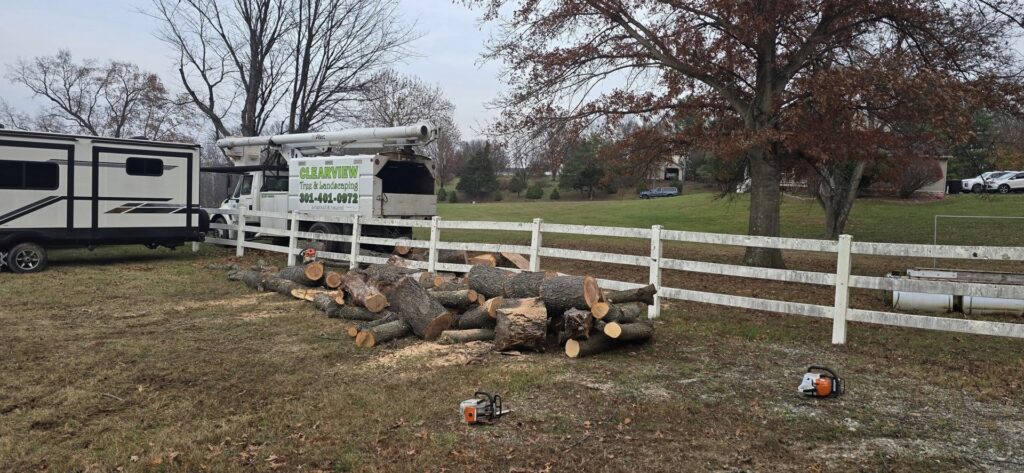 Freshly cut logs and chainsaws on the ground after a tree removal service by Clearview Tree and Landscaping Services in Martinsburg, WV.