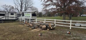 Freshly cut logs and chainsaws on the ground after a tree removal service by Clearview Tree and Landscaping Services in Martinsburg, WV.