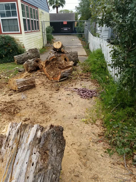 Large tree logs and wood debris on a residential property after a tree removal by C & N Tree Service in Corpus Christi, TX.