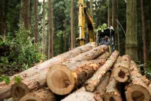 A pile of freshly cut logs with an excavator in the background, showing tree removal by Carlos Tree Service in Juneau, AK.
