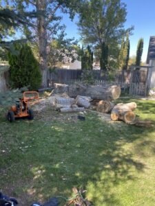 Large tree logs and wood chips on a lawn with a stump grinder, showing completed tree removal by Double J Tree Service, LLC in Meridian, ID.