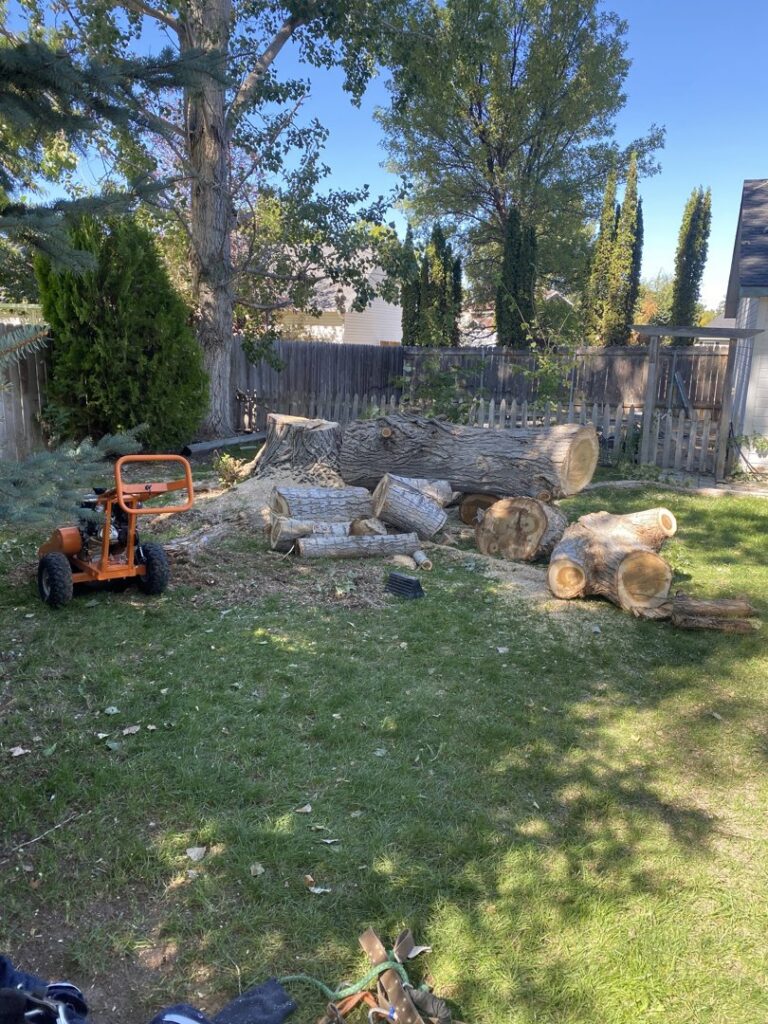 Large tree logs and wood chips on a lawn with a stump grinder, showing completed tree removal by Double J Tree Service, LLC in Meridian, ID.