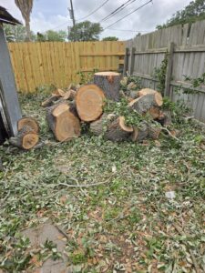 A pile of cut tree logs and stumps after a tree removal service by Arbortex Tree Service in Corpus Christi, TX.