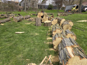 Large logs and wood pieces on a lawn after tree removal, with a chipper in the background by A-Town Cut Down Tree Services LLC in Youngstown, OH.