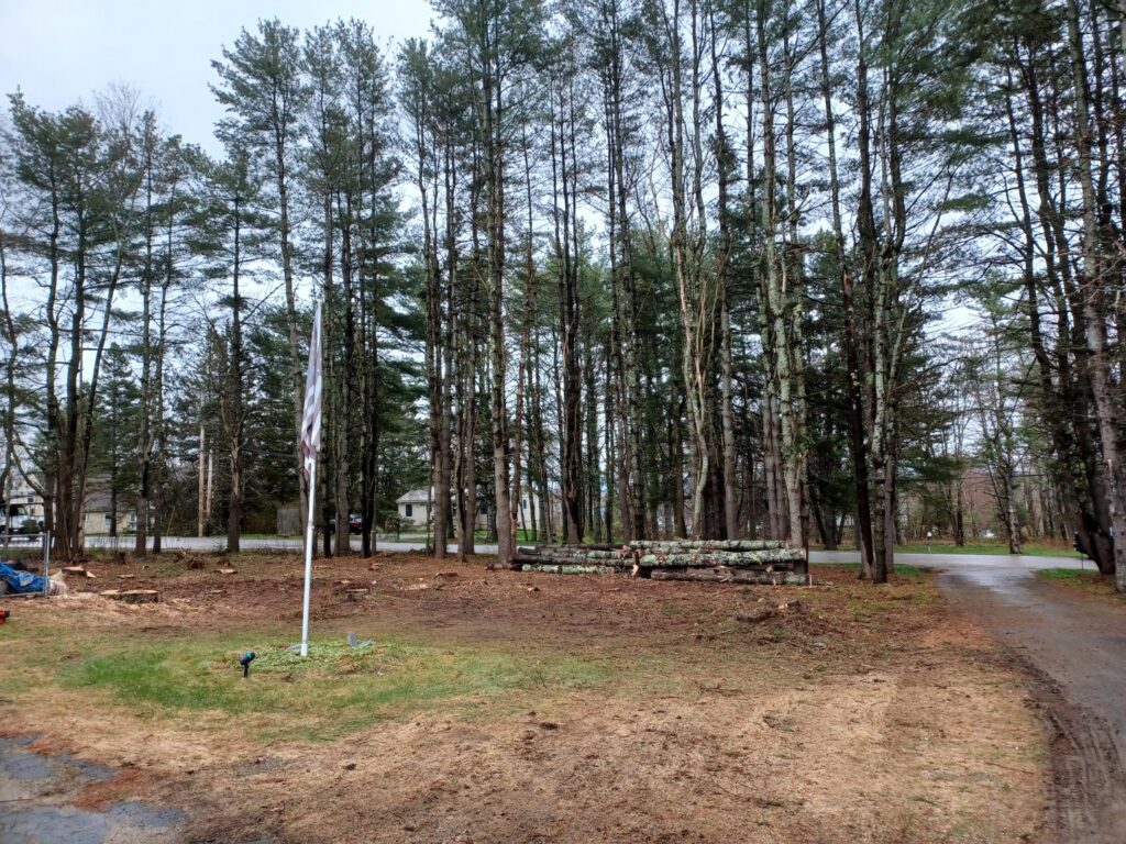 A residential yard with logs piled up and cleared trees in the background, showing tree removal work by BlueWater Tree Service, LLC in Bangor, ME.