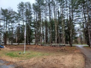 A residential yard with logs piled up and cleared trees in the background, showing tree removal work by BlueWater Tree Service, LLC in Bangor, ME.