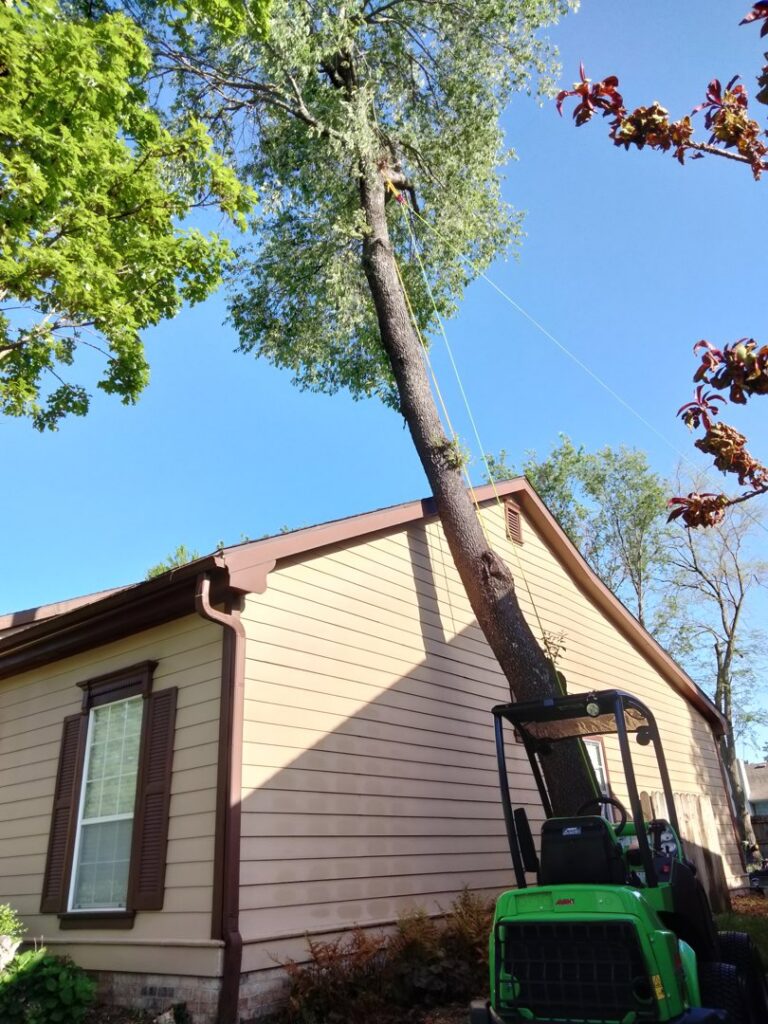 Tree removal in progress near a residential house with a worker and ropes by Apex Tree Service, LLC in Huntsville, AL.