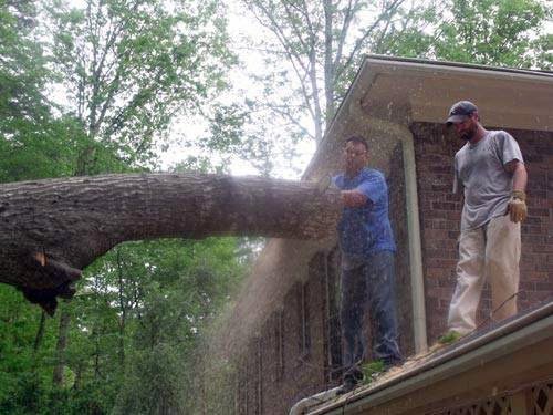 Sharp Tree Service workers on a roof using a chainsaw to remove a large tree branch over a house in Cumming, GA.