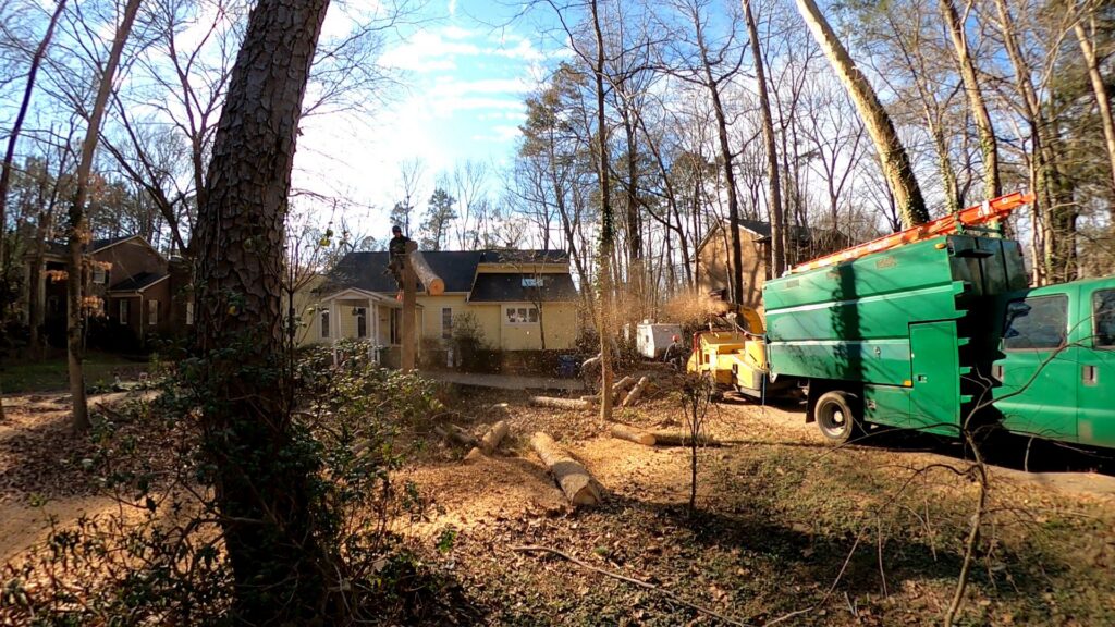 A comprehensive tree removal operation with a crane and wood chipper by K.O. Tree Service in Charlotte, NC.