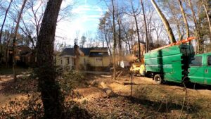 A comprehensive tree removal operation with a crane and wood chipper by K.O. Tree Service in Charlotte, NC.
