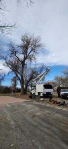 A comprehensive tree removal operation with a bucket truck, chipper, and dump truck by Riverdale Tree Services in Northglenn, CO.