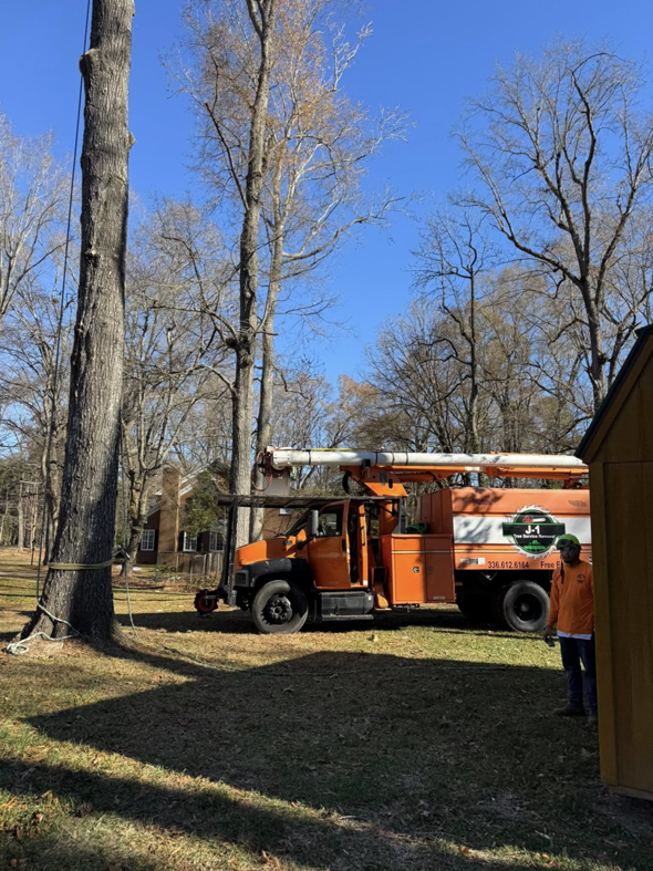 A bucket truck and worker preparing for tree removal or heavy pruning with ropes on a tall tree by J-1 tree Service in Raleigh, NC.