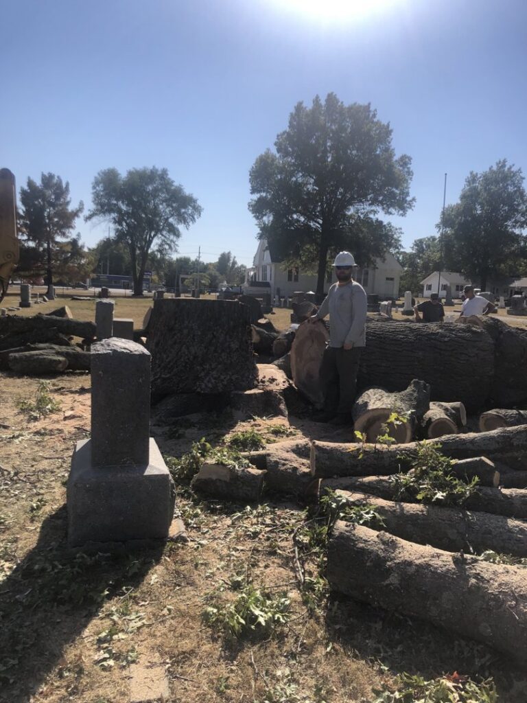 A tree service worker standing amidst large cut tree logs and stumps after a major tree removal project by Superior Tree and Stump LLC in Topeka, KS.