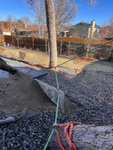 Tree removal rigging with a cut trunk section on the ground by Ice Tree Service LLC in Westminster, CO.