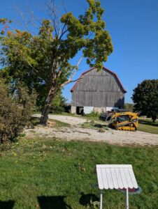 Professional tree removal service with a cut tree and skid steer by A&A Property Renovations LLC in Green Bay, WI.
