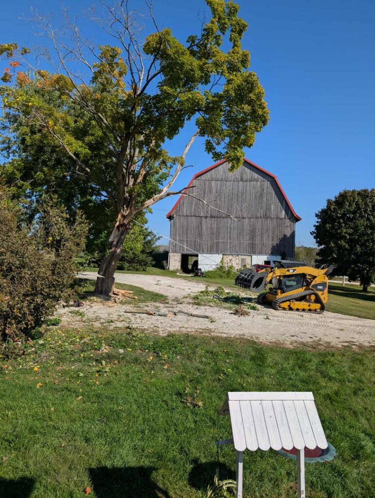 Professional tree removal service with a cut tree and skid steer by A&A Property Renovations LLC in Green Bay, WI.