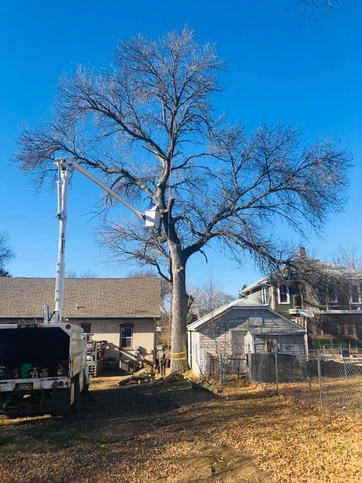 A tree removal site with a bucket truck and cut branches on the ground by Toben Tree Service in Yankton, SD.