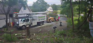 A tree removal site with a bucket truck, wood chipper, and stumps, showing work by Clearview Tree and Landscaping Services in Martinsburg, WV.