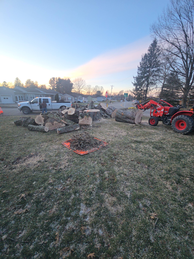 A tree removal site with cut logs, branches, a pickup truck, and a tractor by Green works tree service in Columbus, OH.