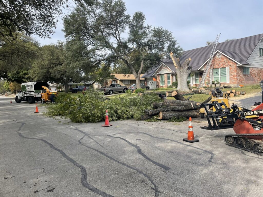 A tree removal site with cut logs, branches, a wood chipper, and a mini-skid steer by Luna's Tree Service in San Antonio, TX.